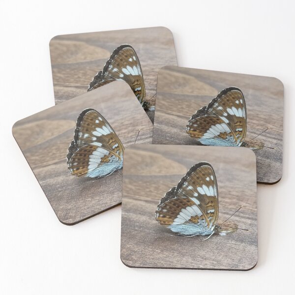 Item preview, White Admiral designed and sold by vibeno1.