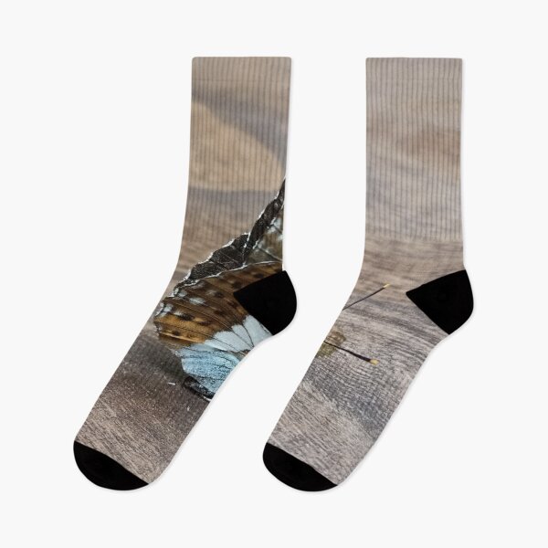 Item preview, White Admiral designed and sold by vibeno1.