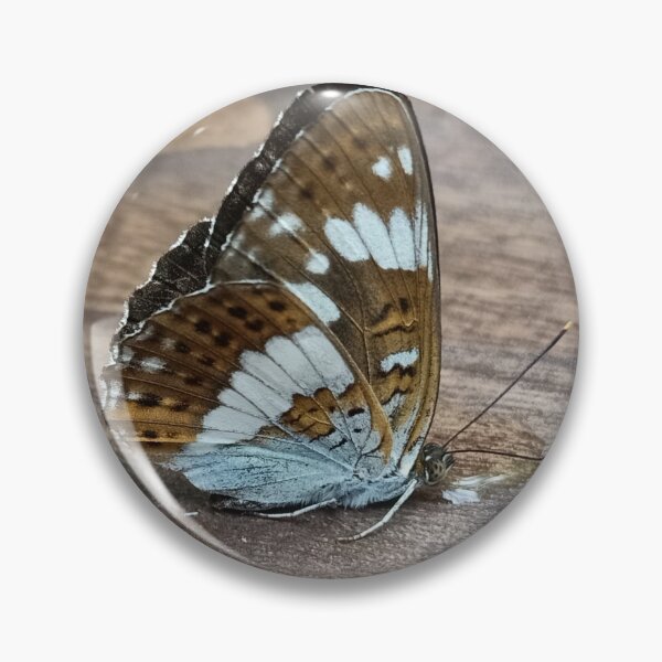 Item preview, White Admiral designed and sold by vibeno1.