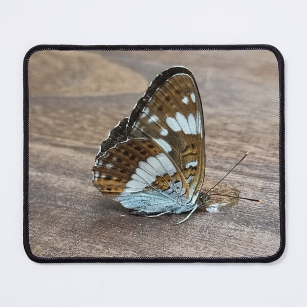 Item preview, White Admiral designed and sold by vibeno1.