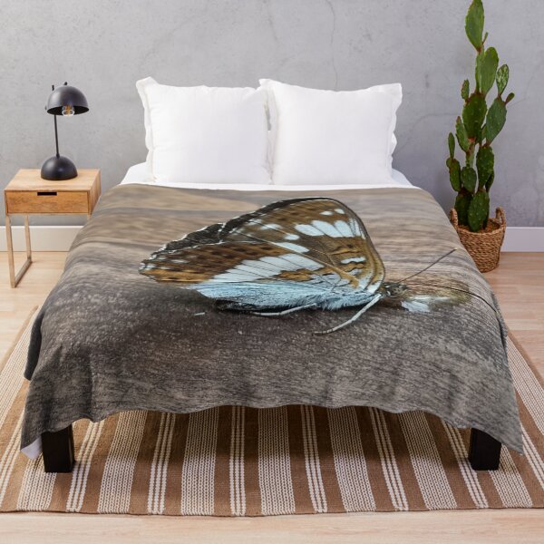 Item preview, White Admiral designed and sold by vibeno1.
