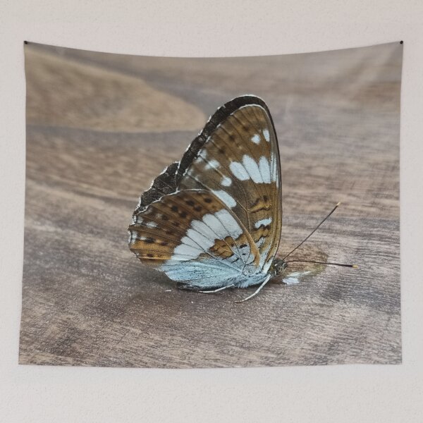 Item preview, White Admiral designed and sold by vibeno1.
