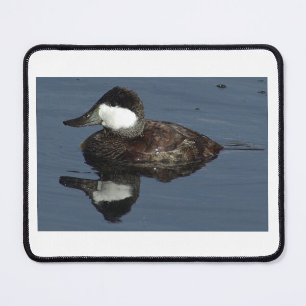 Item preview, Ruddy Duck designed and sold by PatGoltz.