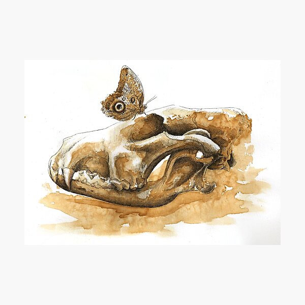 Item preview, Lightly - Wolf Skull And Owl Moth Painted With Coffee designed and sold by DanielleTrudeau.