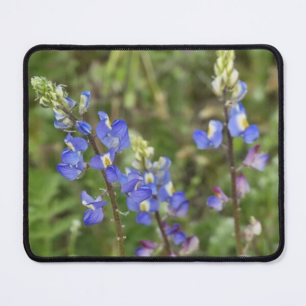 Item preview, Coulter's Lupine designed and sold by PatGoltz.