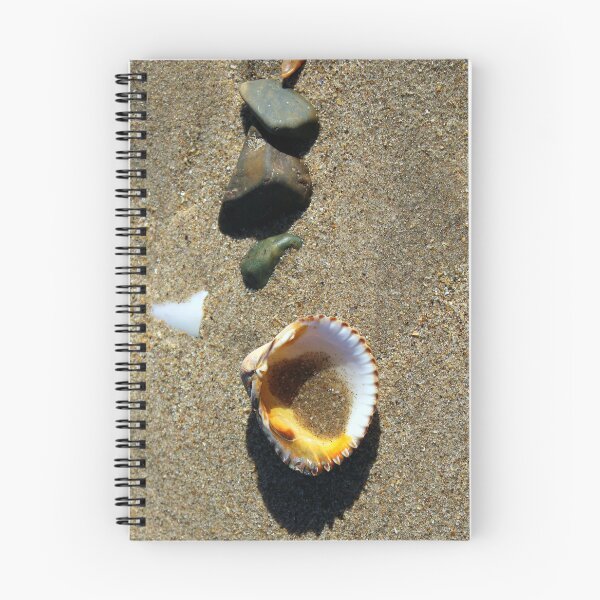 Item preview, shell designed and sold by KathleenDawson.