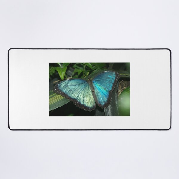 Item preview, Blue Morpho designed and sold by PatGoltz.