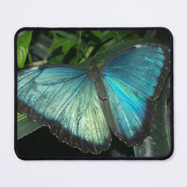 Item preview, Blue Morpho designed and sold by PatGoltz.