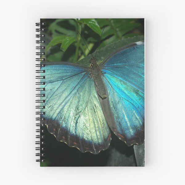 Item preview, Blue Morpho designed and sold by PatGoltz.