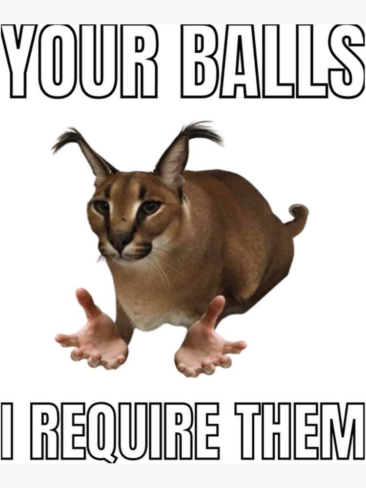 Big Floppa Cat Meme Your Balls I Require Them Cat in the 