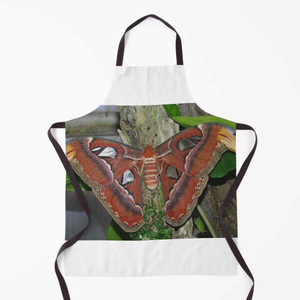 Item preview, Atlas Moth designed and sold by PatGoltz.