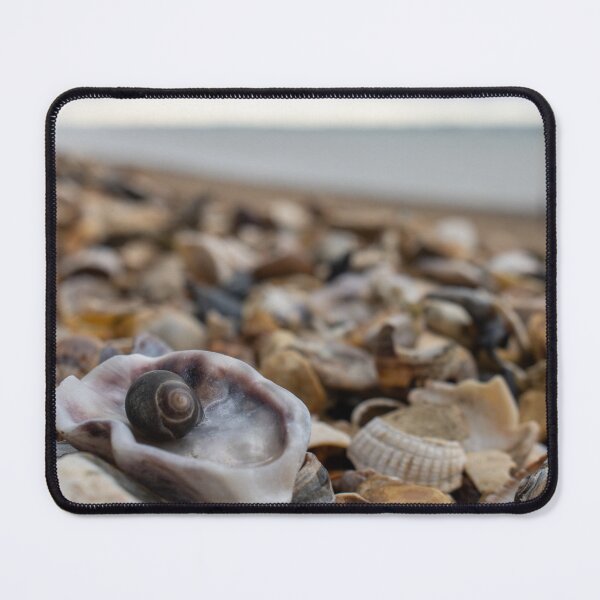 Item preview, Seashells on the sea shore with the water in the background designed and sold by Camille Bouchard.