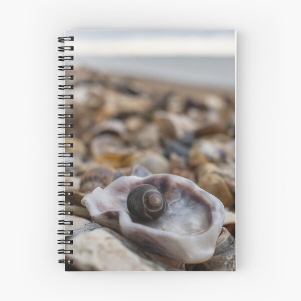 Item preview, Seashells on the sea shore with the water in the background designed and sold by Camille Bouchard.