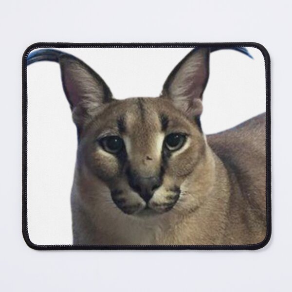 Funny Caracal Cat Floppa Meme Mouse Pad Square Non-Slip Rubber