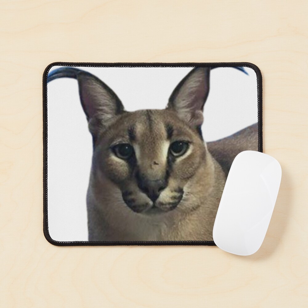 Funny Caracal Cat Floppa Meme Mouse Pad Square Non-Slip Rubber