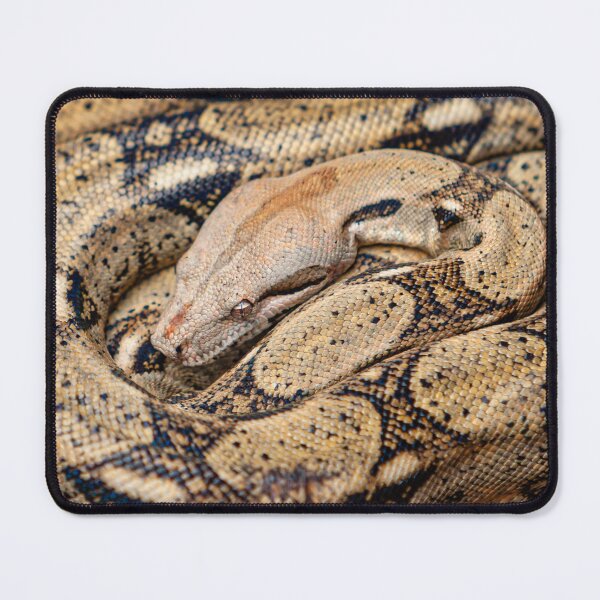 Item preview, Beautiful pattern of an Indian Python designed and sold by Dalyndigital Photography.