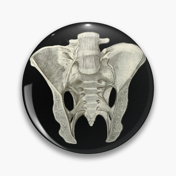 Item preview, Pelvis  designed and sold by YesterdaysSushi.