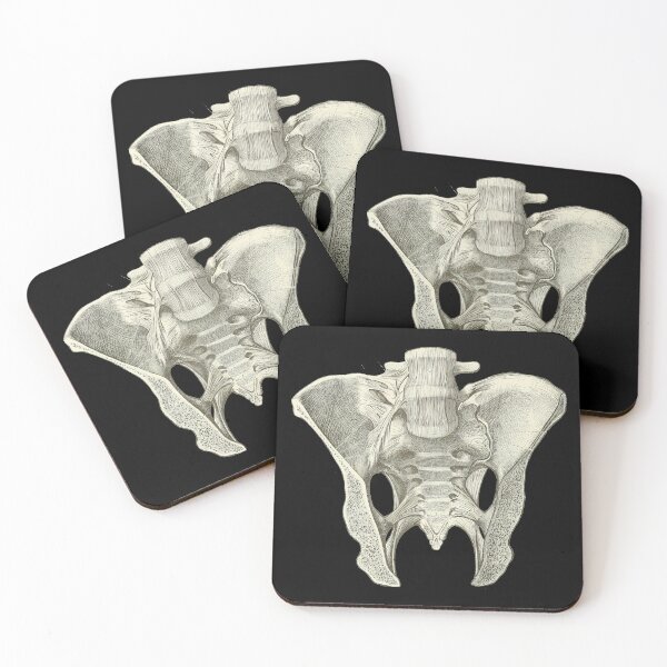 Item preview, Pelvis  designed and sold by YesterdaysSushi.