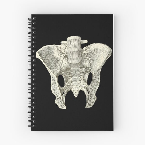 Item preview, Pelvis  designed and sold by YesterdaysSushi.