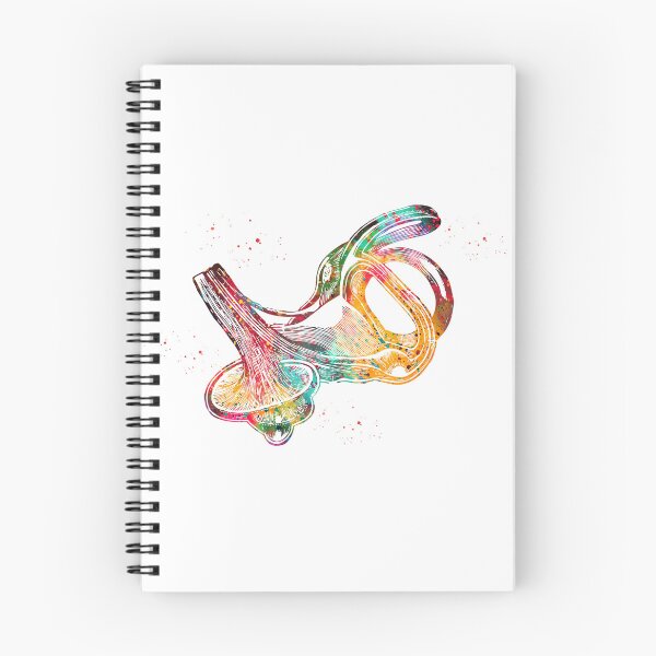 Item preview, Labyrinth of Inner Ear  designed and sold by Liededrom..