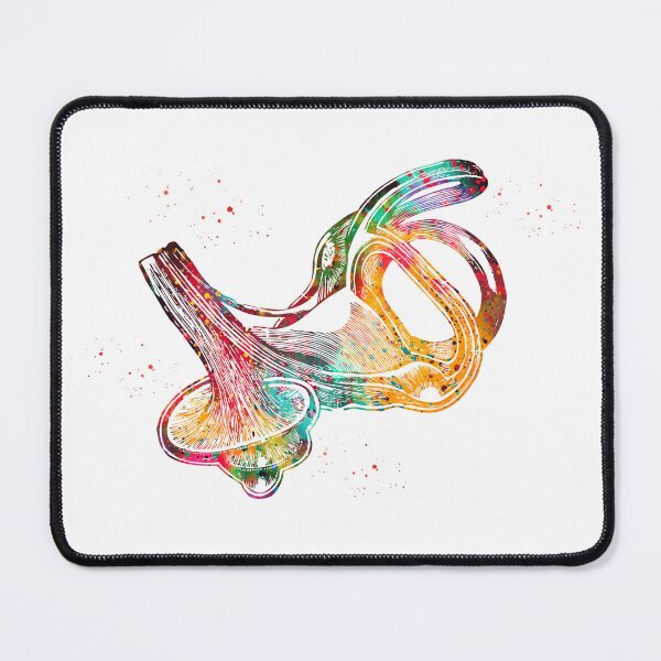Item preview, Labyrinth of Inner Ear  designed and sold by Liededrom..