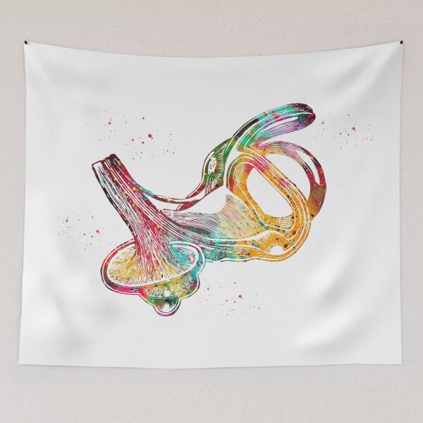 Item preview, Labyrinth of Inner Ear  designed and sold by Liededrom..