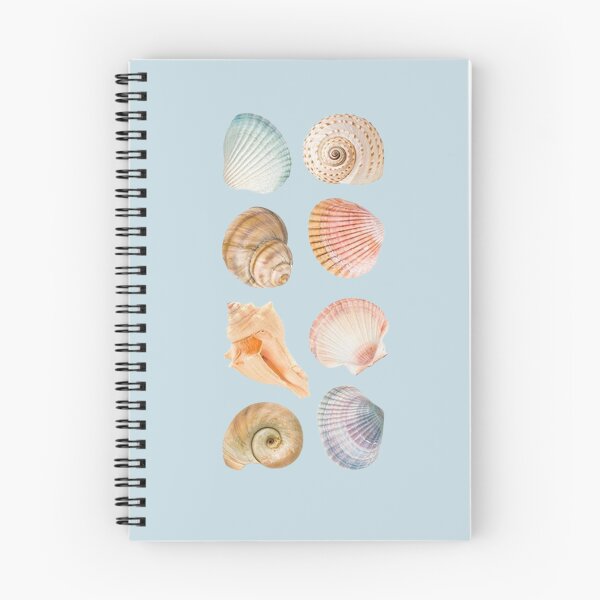 Item preview, aesthetic shell stickers designed and sold by BeauBeauxox.