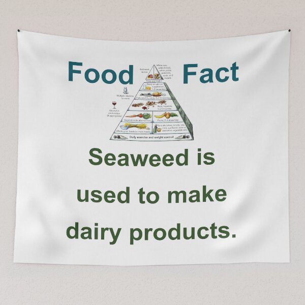 Item preview, Seaweed Is used To Make Dairy Products - Food Fact designed and sold by CrankyOldDude.
