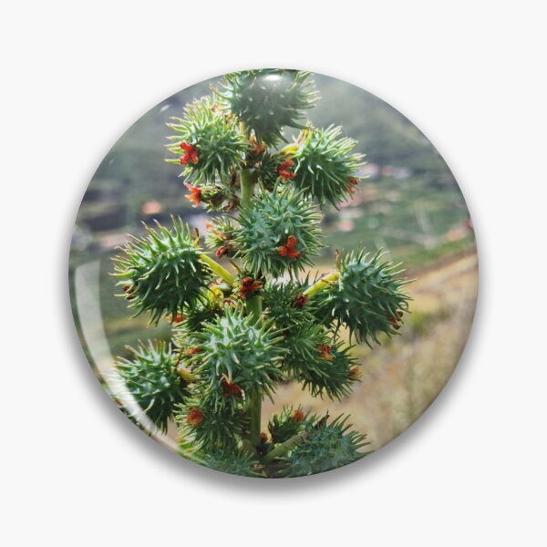 Item preview, Caster Oil Bean - Ricinus communis designed and sold by RAdley21.