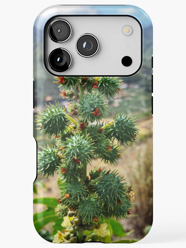 Thumbnail 1 of 4, iPhone Case, Caster Oil Bean - Ricinus communis designed and sold by RAdley21.