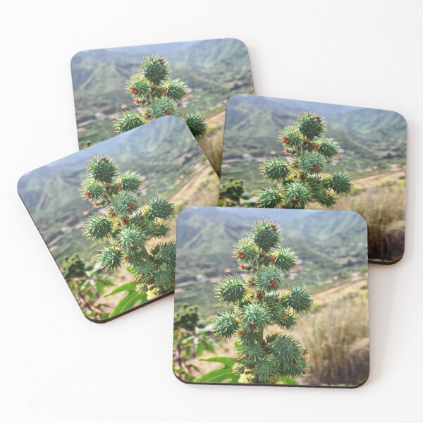 Item preview, Caster Oil Bean - Ricinus communis designed and sold by RAdley21.
