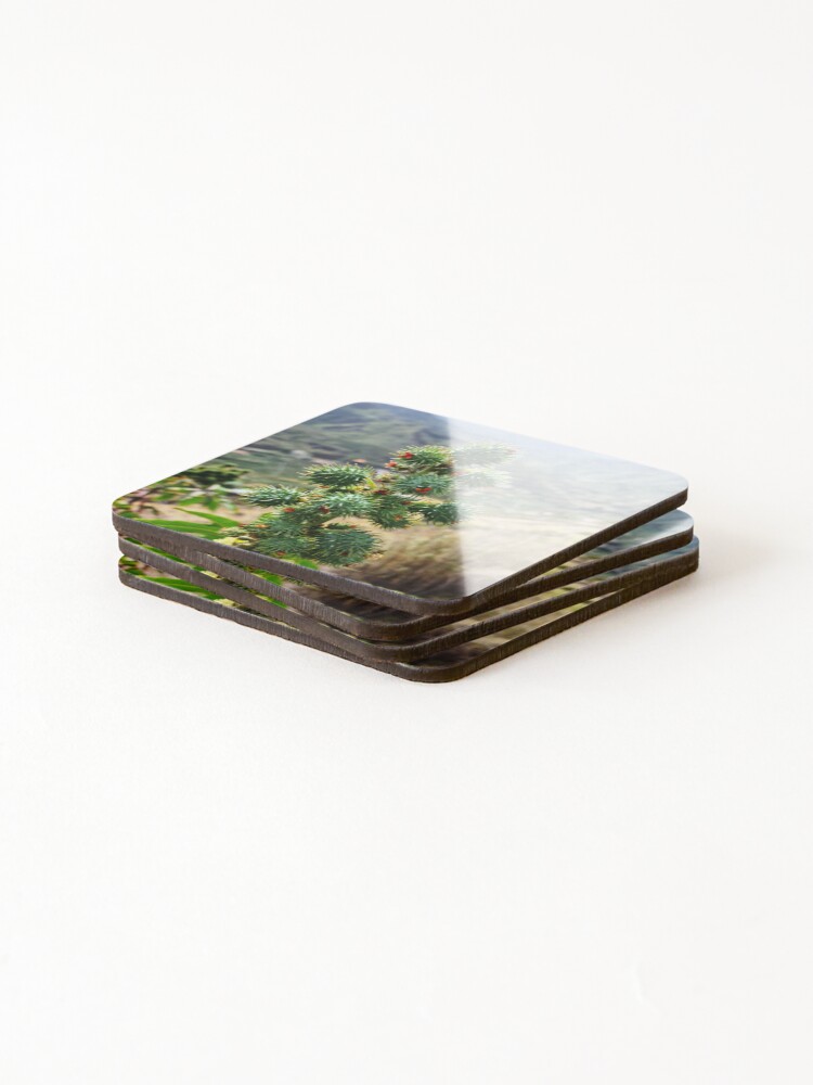 Thumbnail 4 of 5, Coasters (Set of 4), Caster Oil Bean - Ricinus communis designed and sold by RAdley21.
