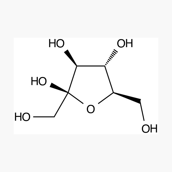 Item preview, Fructose Fruit Sugar Chemical Molecule Structure designed and sold by Girih.