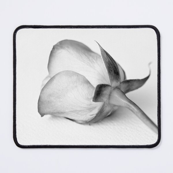 Item preview, A Black And White Rose designed and sold by Tanya C Smith.