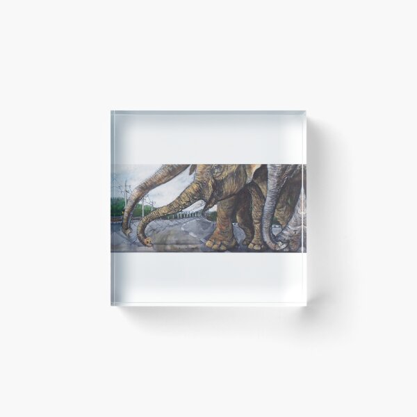 Item preview, Road Crossing designed and sold by millimations.