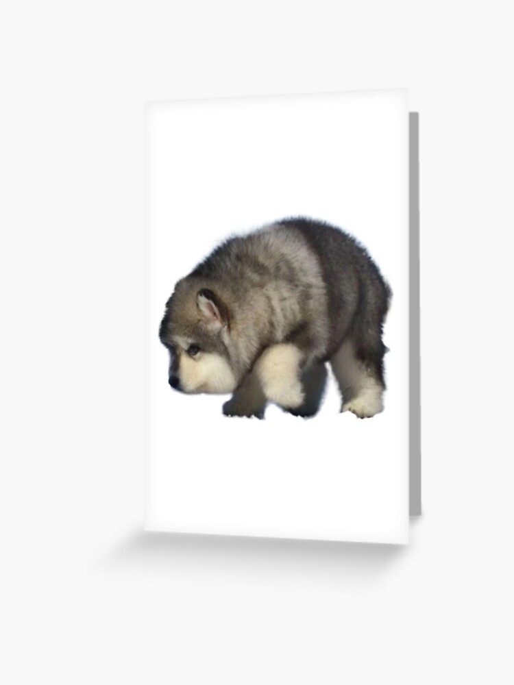 Haxwell Pugle Wuggle Greeting Card