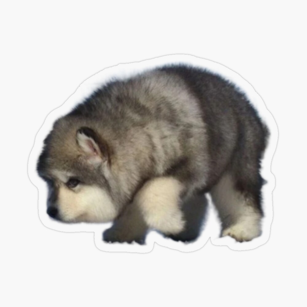 Haxwell Pugle Wuggle Greeting Card