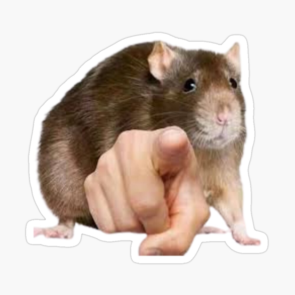 Rat Pointing Meme | Sticker