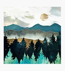 Forest Mist Photographic Print