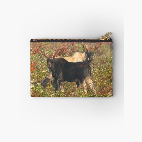 Item preview, Maine Bull Moose x2 designed and sold by Enola Gay Wagner.