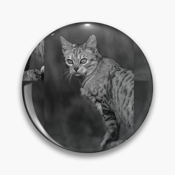 Item preview, r37 / finition 2023 -  : " Ma chatte Bien-Aimée " Photo  Okaio-Umin  Créations  Olavia-Olao designed and sold by o.okaïo.