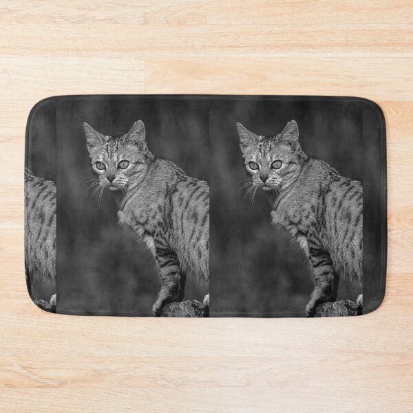Item preview, r37 / finition 2023 -  : " Ma chatte Bien-Aimée " Photo  Okaio-Umin  Créations  Olavia-Olao designed and sold by o.okaïo.