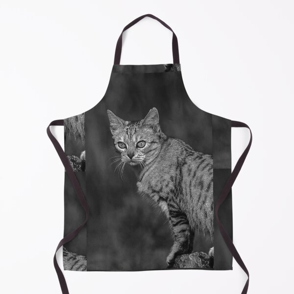 Item preview, r37 / finition 2023 - : " Ma chatte Bien-Aimée " Photo Okaio-Umin Créations Olavia-Olao designed and sold by o.okaïo.