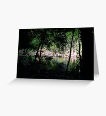 Oasis Greeting Card