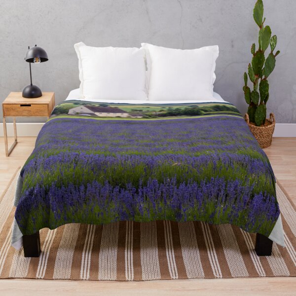Item preview, Lavender Field Summer Flowers Cotswolds England designed and sold by AndyEvansPhotos.