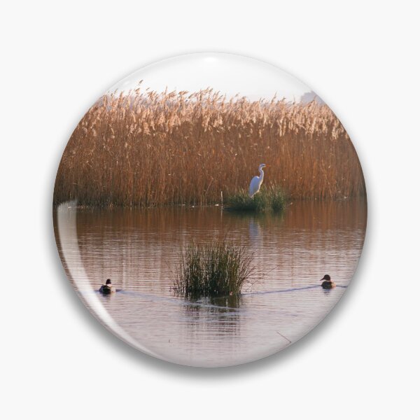 Item preview, Great Egret with 2 Mallards at Burton Mere Wetlands designed and sold by StelleryART.
