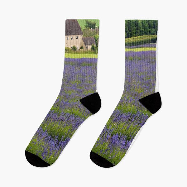 Item preview, Lavender Field Summer Flowers Cotswolds England designed and sold by AndyEvansPhotos.