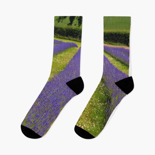 Item preview, Lavender Field Summer Flowers Cotswolds England designed and sold by AndyEvansPhotos.