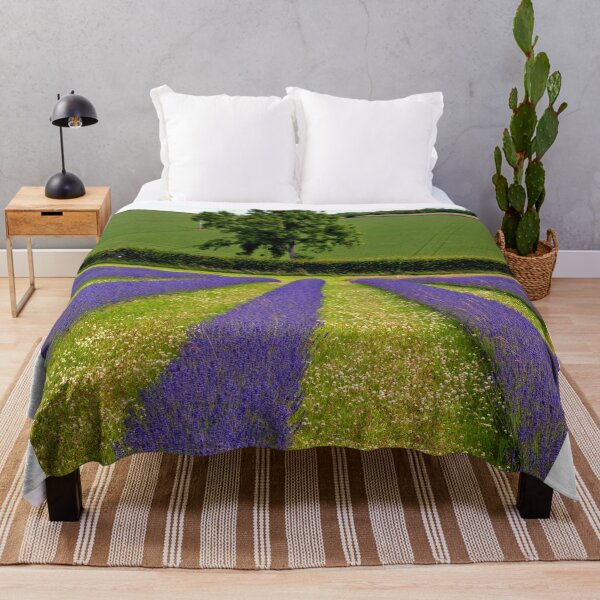 Item preview, Lavender Field Summer Flowers Cotswolds England designed and sold by AndyEvansPhotos.
