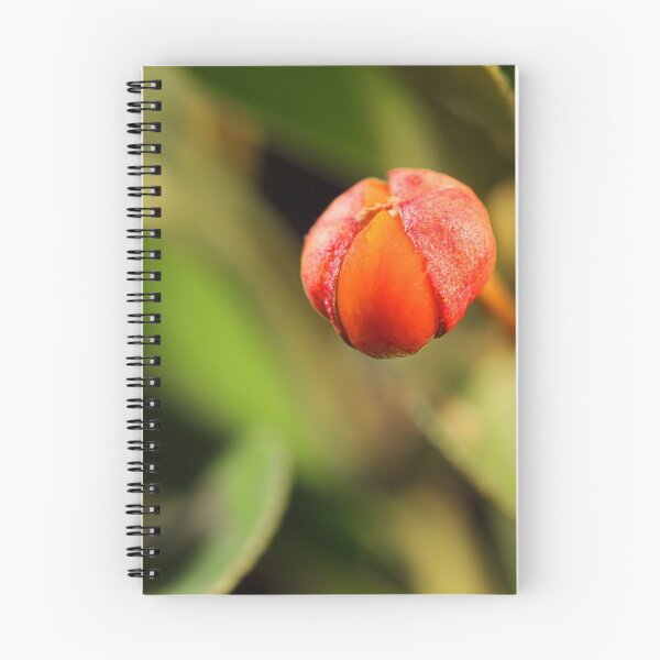 Item preview, Bicolour berry. designed and sold by Paul Pasco.